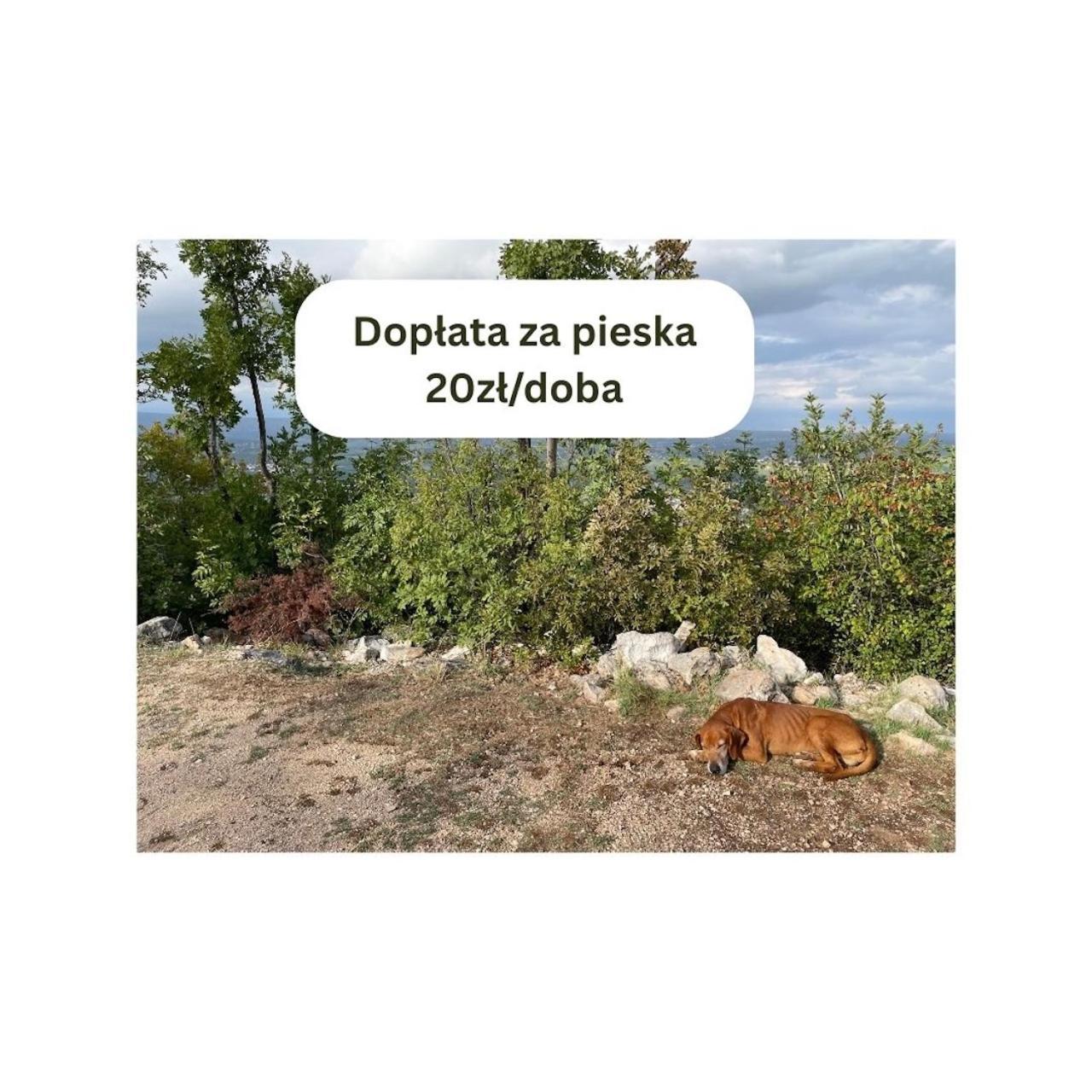 Lakowa Dolina - Domek Letniskowy Supraśl Εξωτερικό φωτογραφία